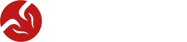 Los Toro